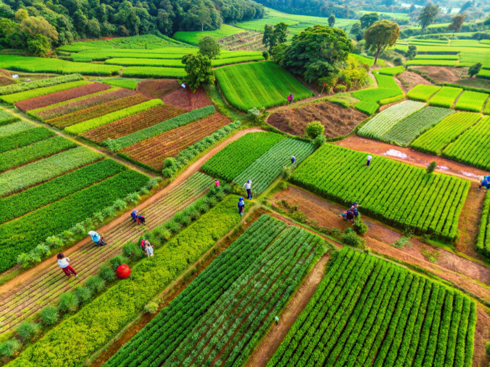 Nature Enrich mission — bringing Vietnamese agricultural products to the world